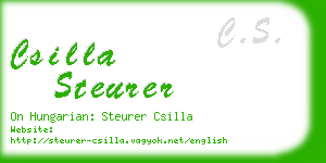 csilla steurer business card